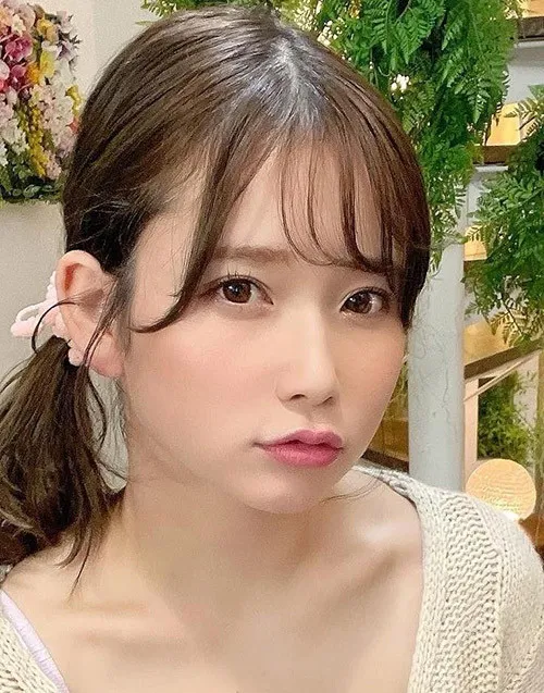 回声档案 热播电视剧全集更新